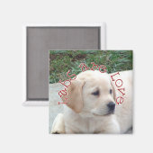 Aimant Les laboratoires sont l'amour (Recto/Verso)