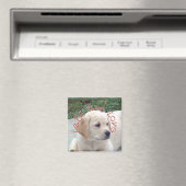 Aimant Les laboratoires sont l'amour (In Situ (Lave-vaisselle))