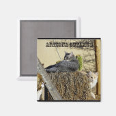 Aimant Les lois de l'Arizona (Recto/Verso)