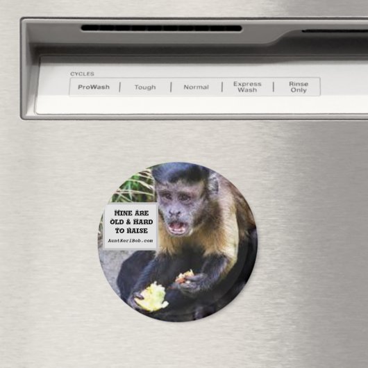 Aimant Les miens sont difficiles à élever (In Situ (Lave-vaisselle))