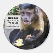 Aimant Les miens sont difficiles à élever (Devant)