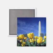 Aimant Les monuments | Washington Monument au printemps (Recto/Verso)