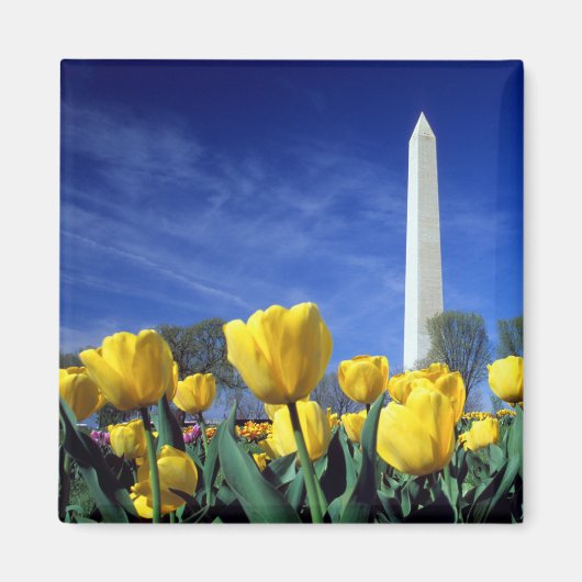 Aimant Les monuments | Washington Monument au printemps (Devant)
