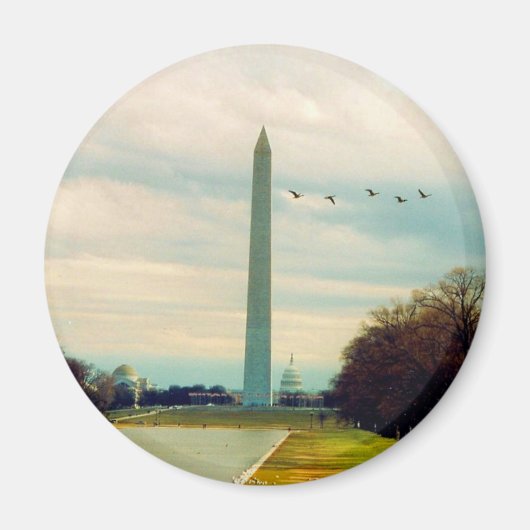 Aimant les oiseaux du monument de washington (Devant)