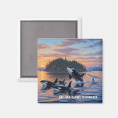 Aimant Les orques à Washington les îles san juan (Recto/Verso)