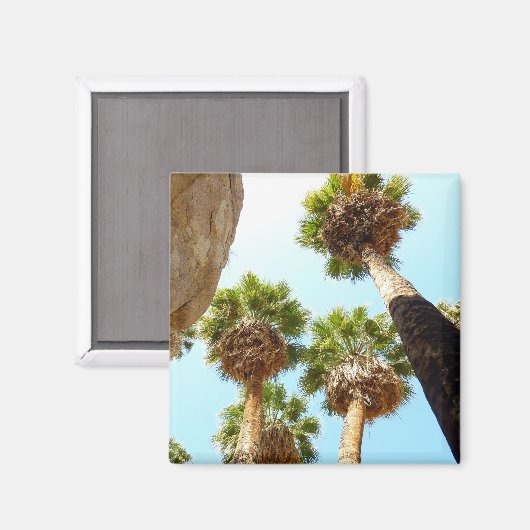Aimant Les palmiers d'Oasis au parc national de Joshua Tr (Recto/Verso)