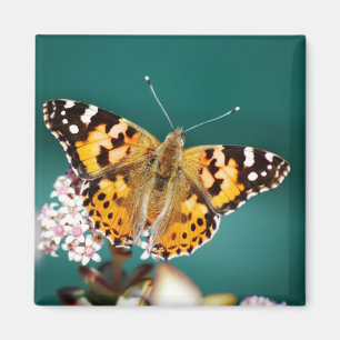 Aimant Les papillons sont gratuits