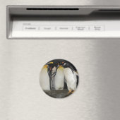 Aimant Les pingouins au zoo (In Situ (Lave-vaisselle))