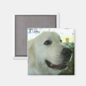 Aimant Les Pyrénées (Recto/Verso)