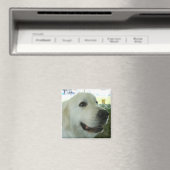 Aimant Les Pyrénées (In Situ (Lave-vaisselle))