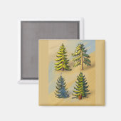 Aimant Les quatres variétés de sapins, botanique. (Recto/Verso)