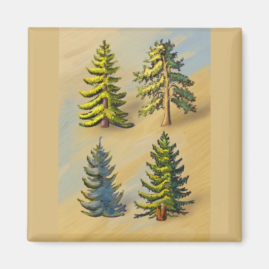 Aimant Les quatres variétés de sapins, botanique. (Devant)