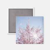 Aimant les rayons du soleil traversent les fleurs roses d (Recto/Verso)