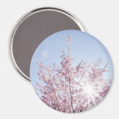 Aimant les rayons du soleil traversent les fleurs roses d (Recto/Verso)