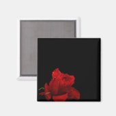 Aimant Les roses sont rouges (Recto/Verso)