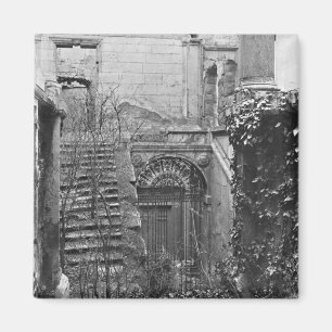 Aimant Les ruines de la Cour des Comptes