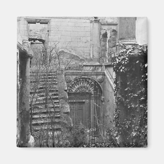 Aimant Les ruines de la Cour des Comptes (Devant)