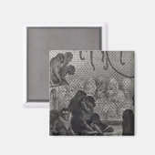 Aimant Les singes de Londres (Recto/Verso)