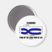 Aimant Les Télécomères Attachent Les Fin De Vie Perdues (Recto/Verso)