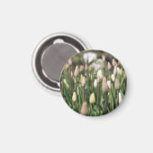 Aimant Les tulipes commencent à fleurir (Recto/Verso)