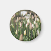 Aimant Les tulipes commencent à fleurir (Devant)