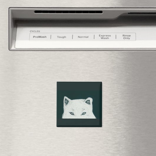 Aimant les yeux (In Situ (Lave-vaisselle))