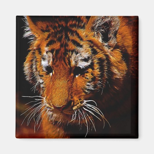 Aimant Les yeux des tigres (Devant)