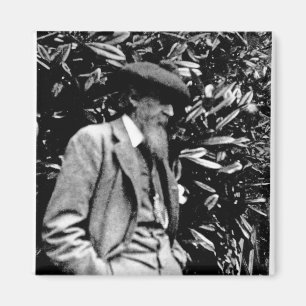 Aimant Leslie Stephen, 1900