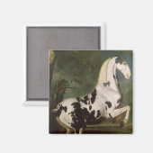 Aimant L'étalon Piebald à l'étouffée Eisgruber (Recto/Verso)