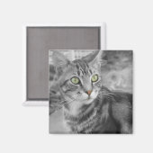 Aimant L'état des merveilles (Recto/Verso)