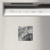 Aimant L'état des merveilles (In Situ (Lave-vaisselle))