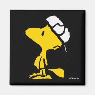 Aimant Lettre de sport Woodstock Varsity