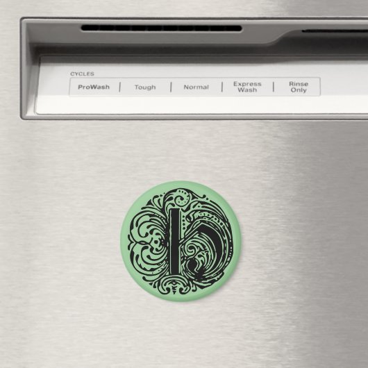 AIMANT LETTRE MONARIE "H" (In Situ (Lave-vaisselle))