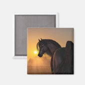Aimant Levée de soleil du cheval arabe (Recto/Verso)