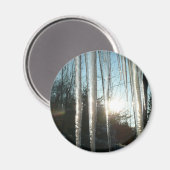 Aimant Lever du soleil à travers Icicles hiver Photograph (Recto/Verso)