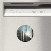 Aimant Lever du soleil à travers Icicles hiver Photograph (In Situ (Lave-vaisselle))