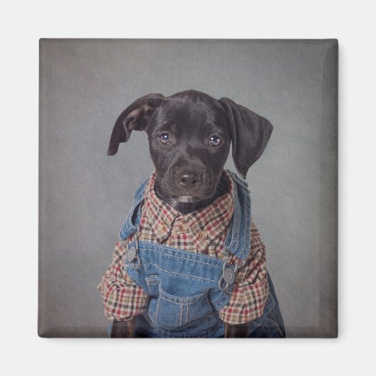 Aimant Levi (Devant)