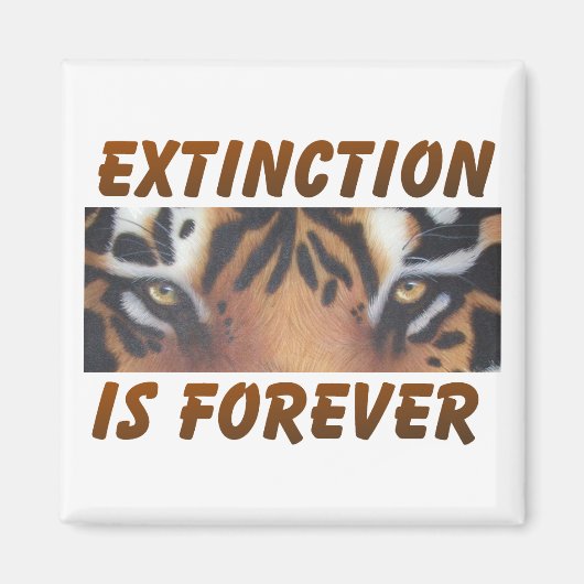 Aimant L'extinction est éternelle (Devant)