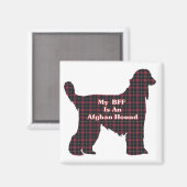 AIMANT LÉZARD AFGHAN COPAIN (Recto/Verso)