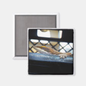 Aimant Lézard d'oignons vertes du soleil (Recto/Verso)