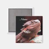 Aimant Lézard Dragon Barbu Rouge Adulte Personnalisé (Recto/Verso)