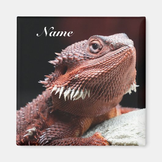 Aimant Lézard Dragon Barbu Rouge Adulte Personnalisé (Devant)