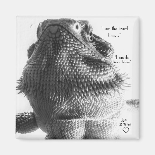 Aimant Lézard noir et blanc (Devant)