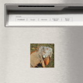 Aimant Lézard vert adulte dans l'herbe (In Situ (Lave-vaisselle))