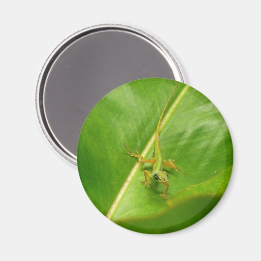 Aimant Lézard vert sur feuille verte (Recto/Verso)