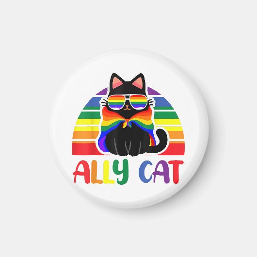Aimant LGBT Ally Chat Be Kind Gay Rainbow Drôle LGBTQ (Devant)