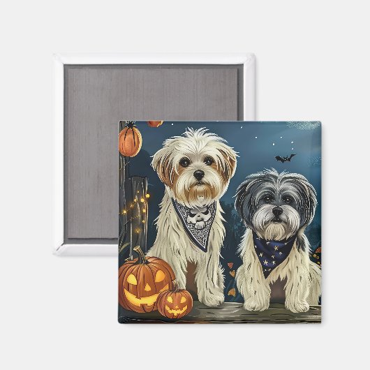 Aimant Lhasa Apso Halloween Éffrayant (Recto/Verso)