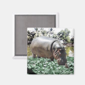 Aimant L'Hippo Et L'Oiseau (Recto/Verso)