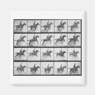 Aimant L'homme et le cheval sautant une barrière,