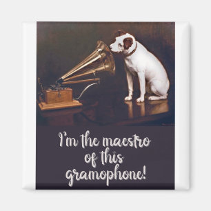 Aimant L'humour de son maître pour chien de voix